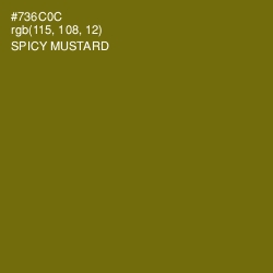 #736C0C - Spicy Mustard Color Image
